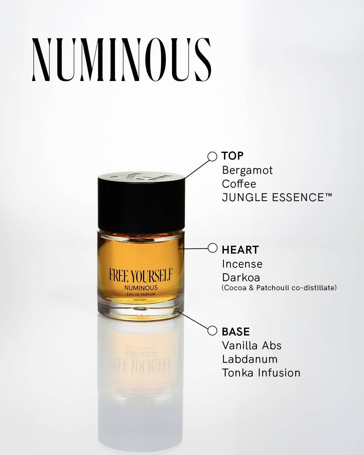 NUMINOUS — Eau de Parfum, Unisex Fragrance: 50ml