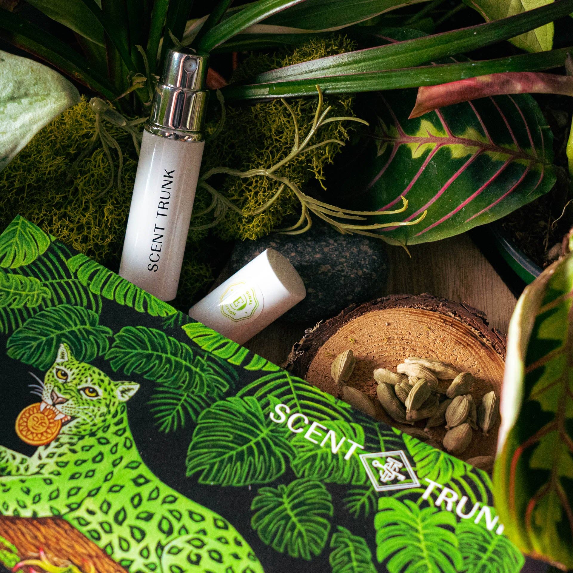 Cloud Cardamom: 30 ml Bottle
