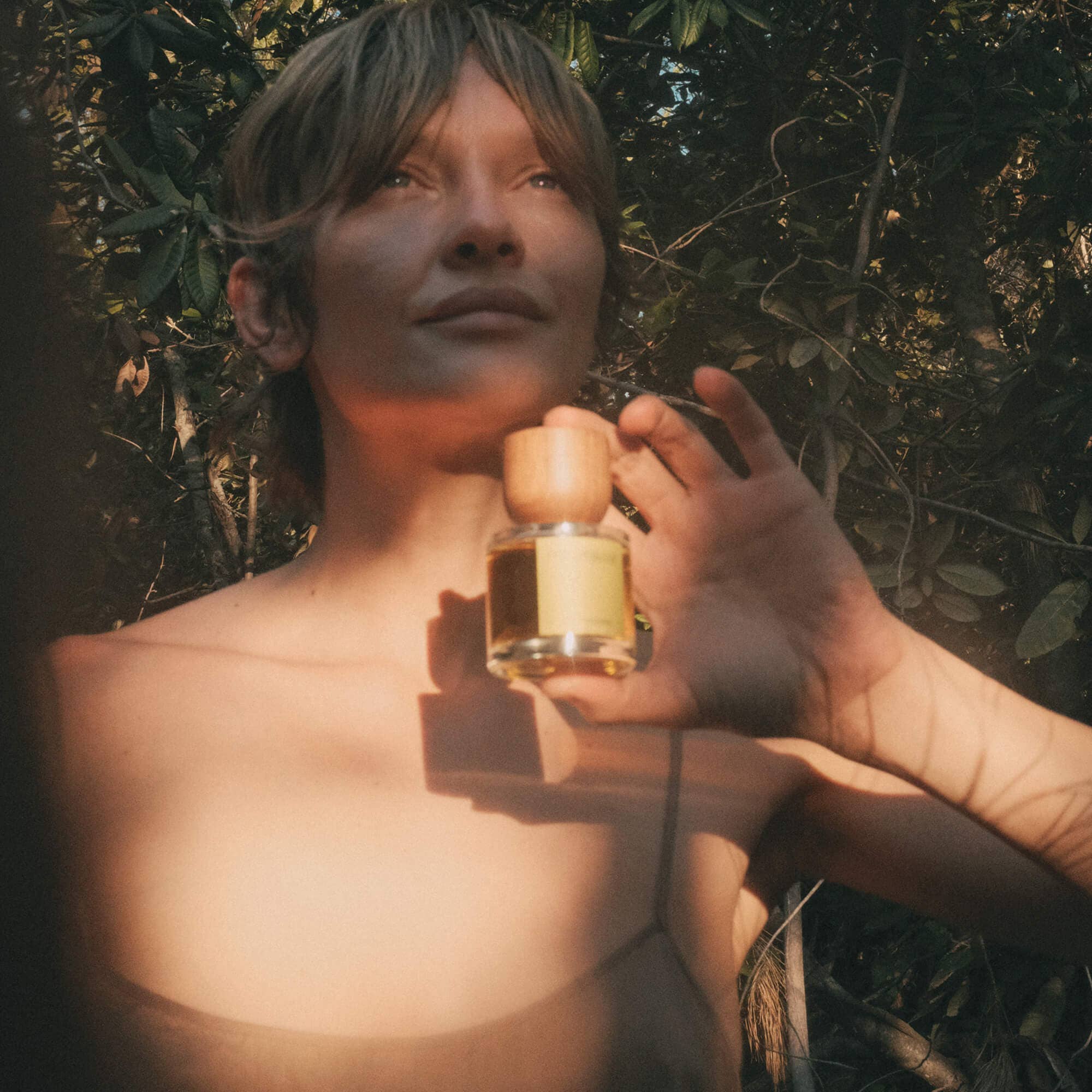 SOFT WOODS | CRISP CONIFER WOODS: 50 ml