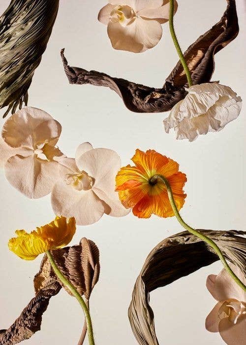 Clean Parfum Discovery Set - Floral, Gourmand, Santal