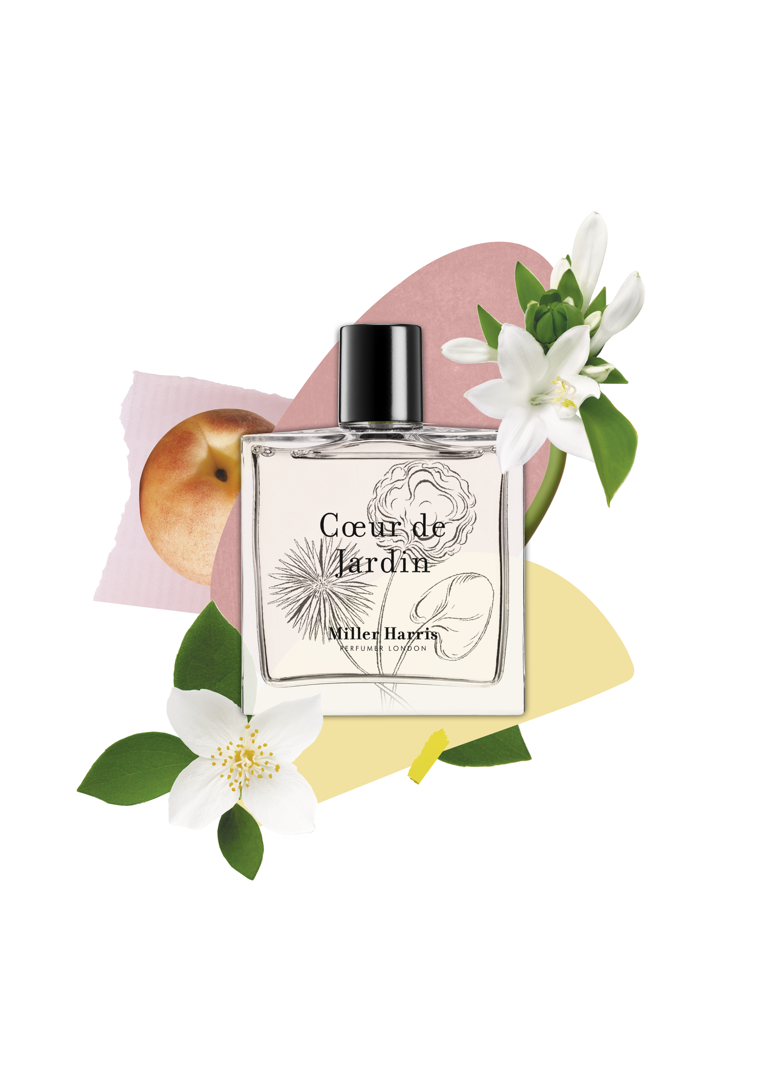 Coeur de Jardin - A chypre, fruity fragrance: 50ml