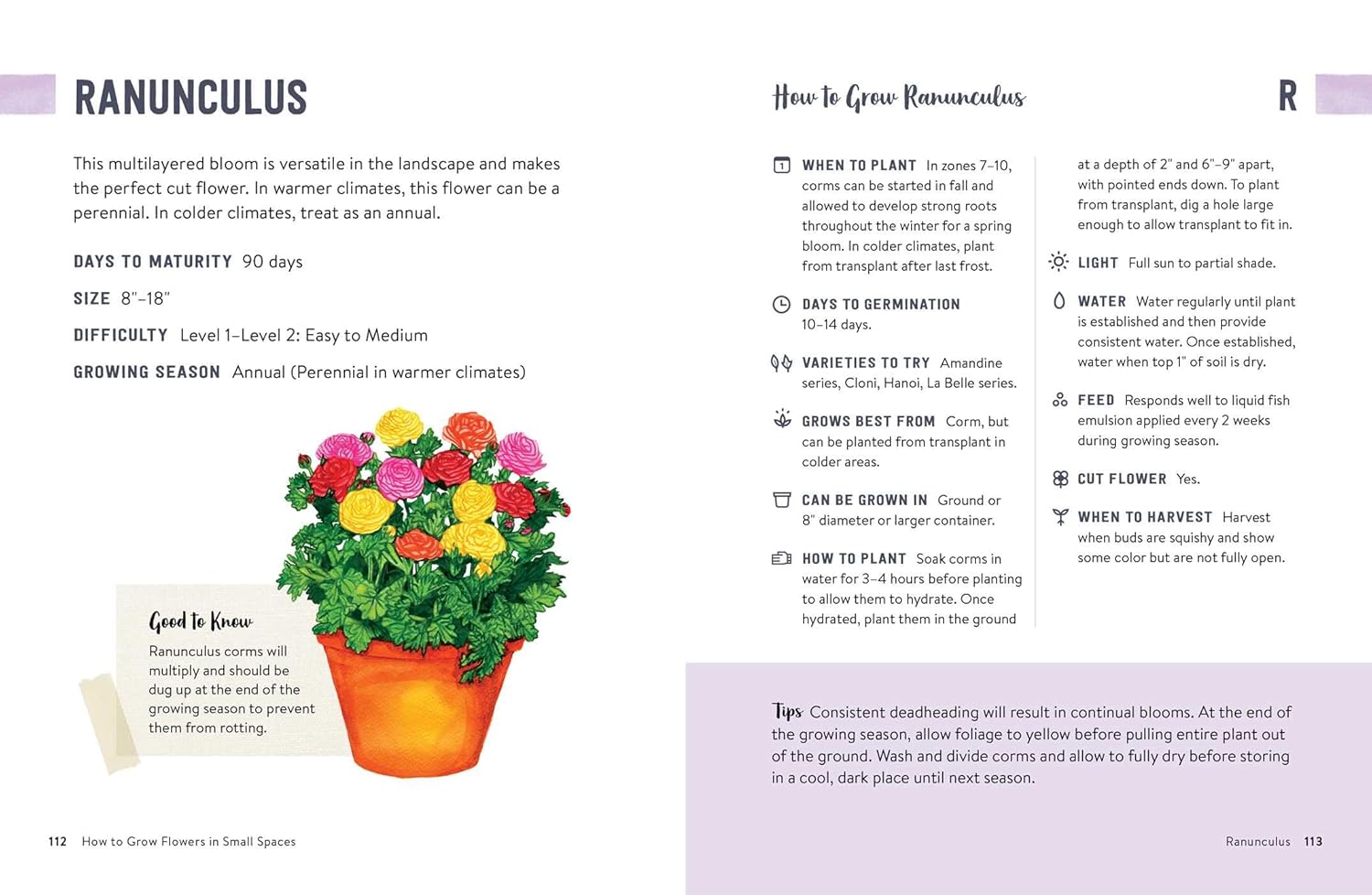 How to Grow Flowers in Small Spaces: An Illustrated Guide to Planning, Planting, and Caring for Your Small Space Flower Garden