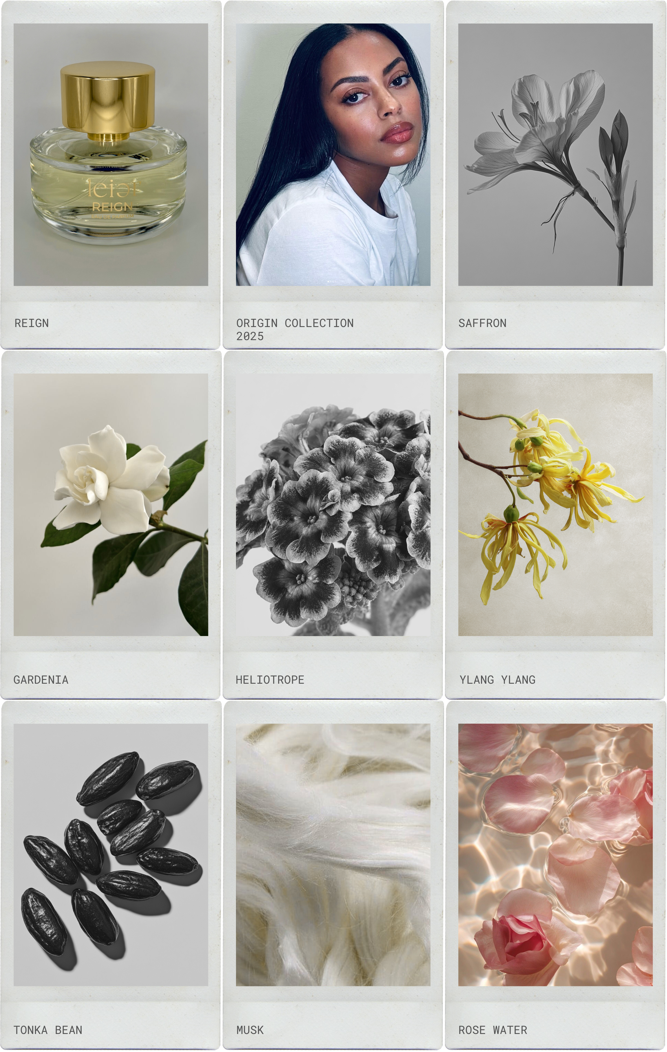 REIGN - EAU DE PARFUM