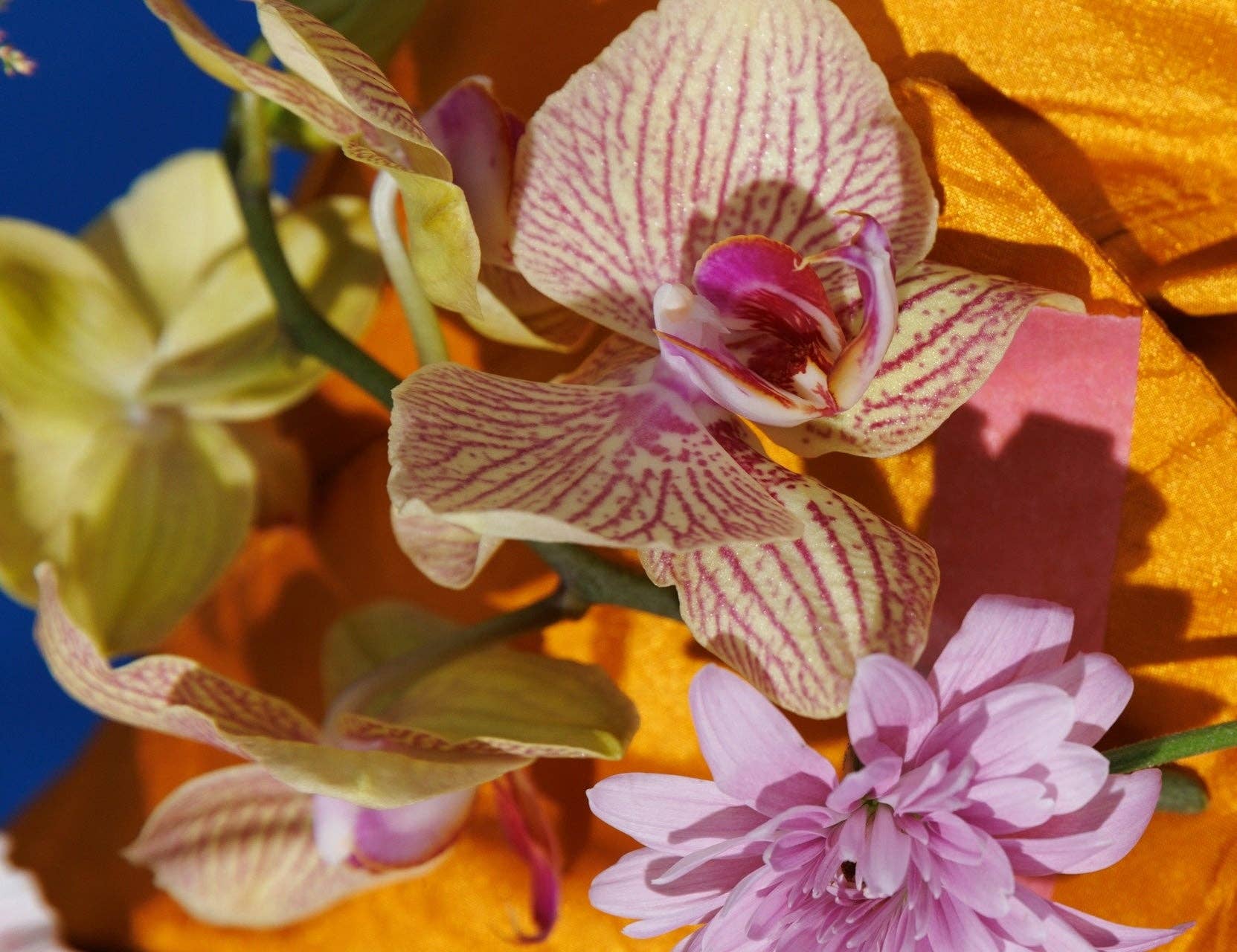 Clean Parfum Discovery Set - Floral, Gourmand, Santal