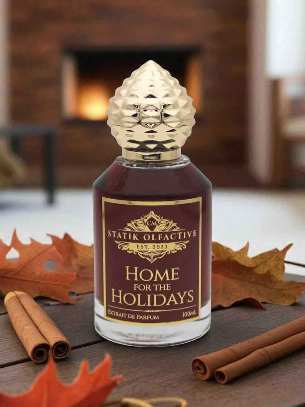 Home for the Holidays