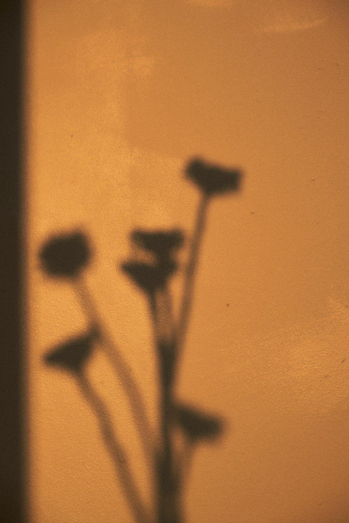 Analog
