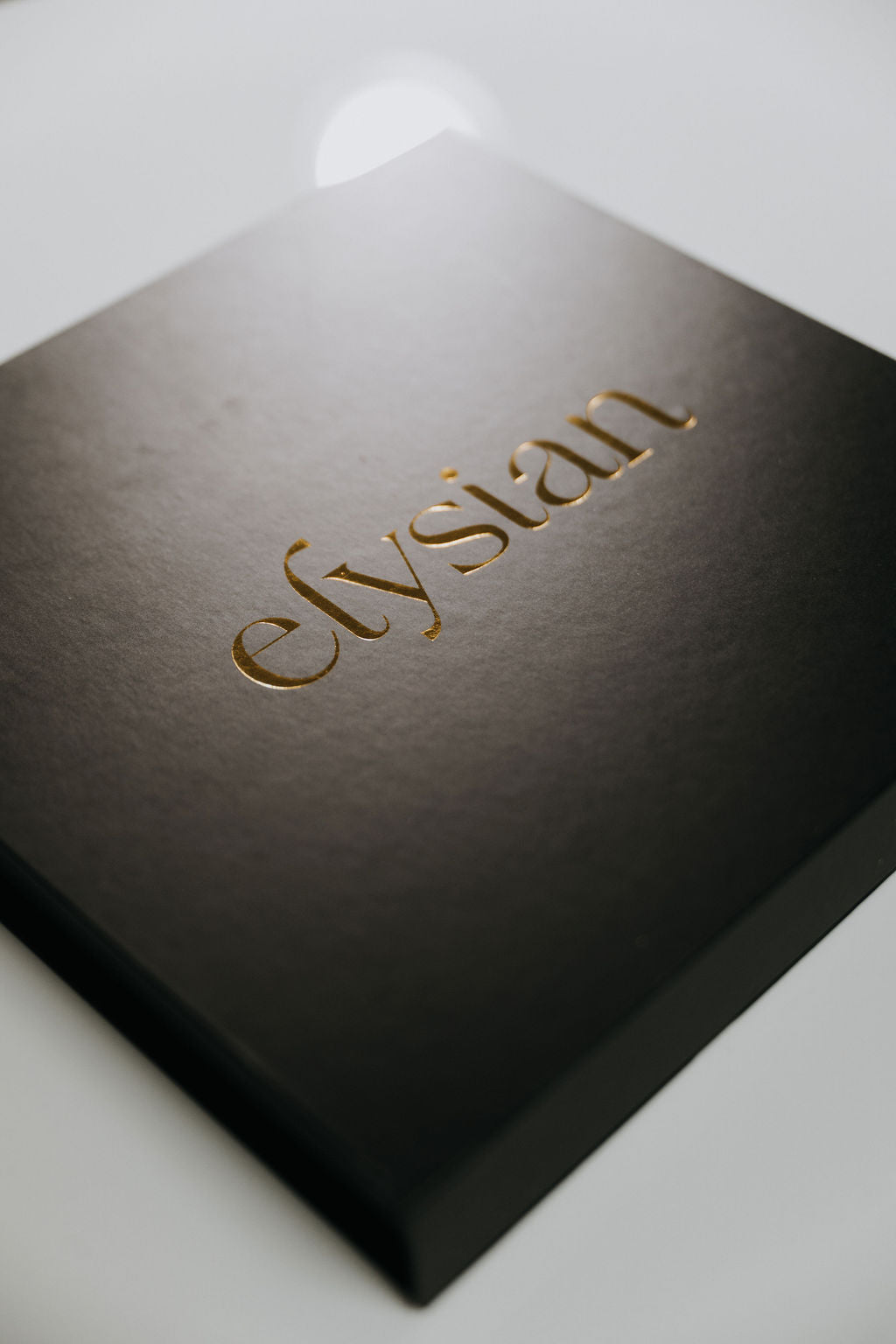 14 Piece Elysian Lineage Collection Discovery Set