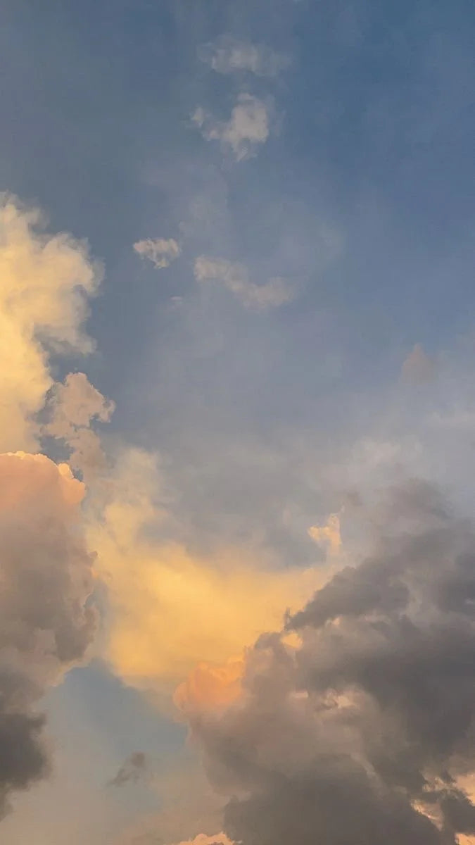 Amicus Cumulus