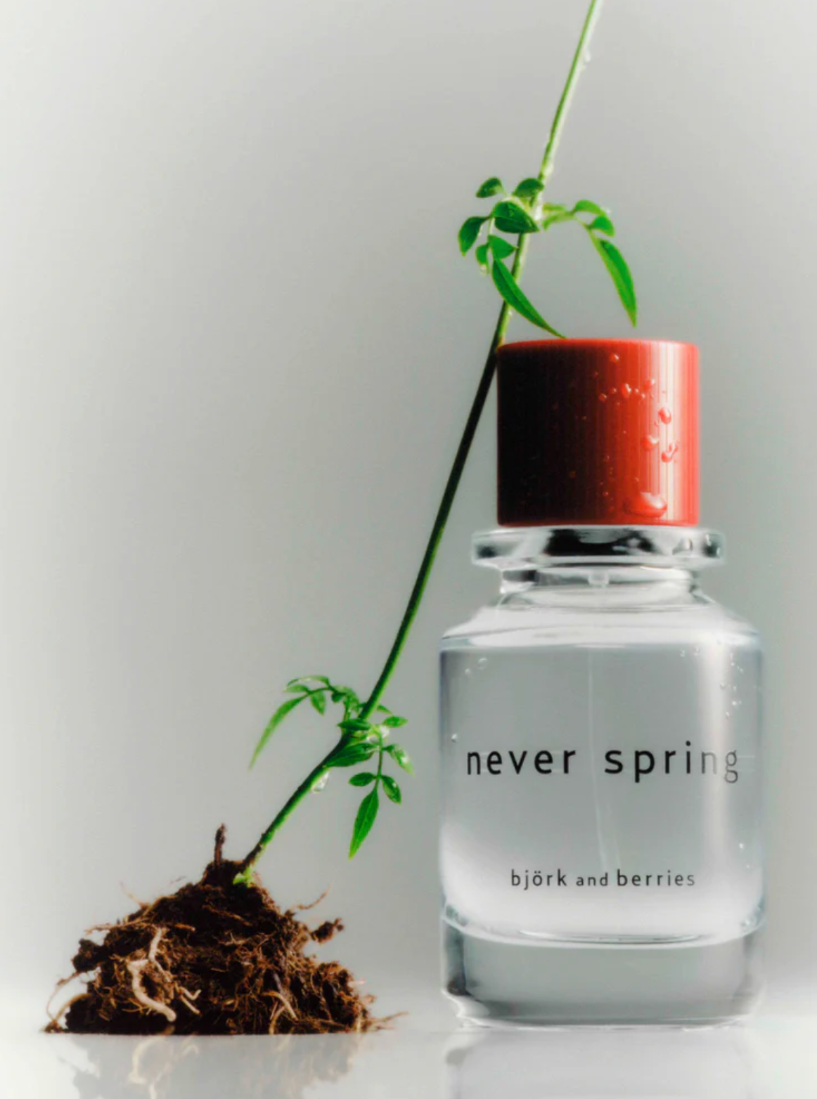 Never Spring