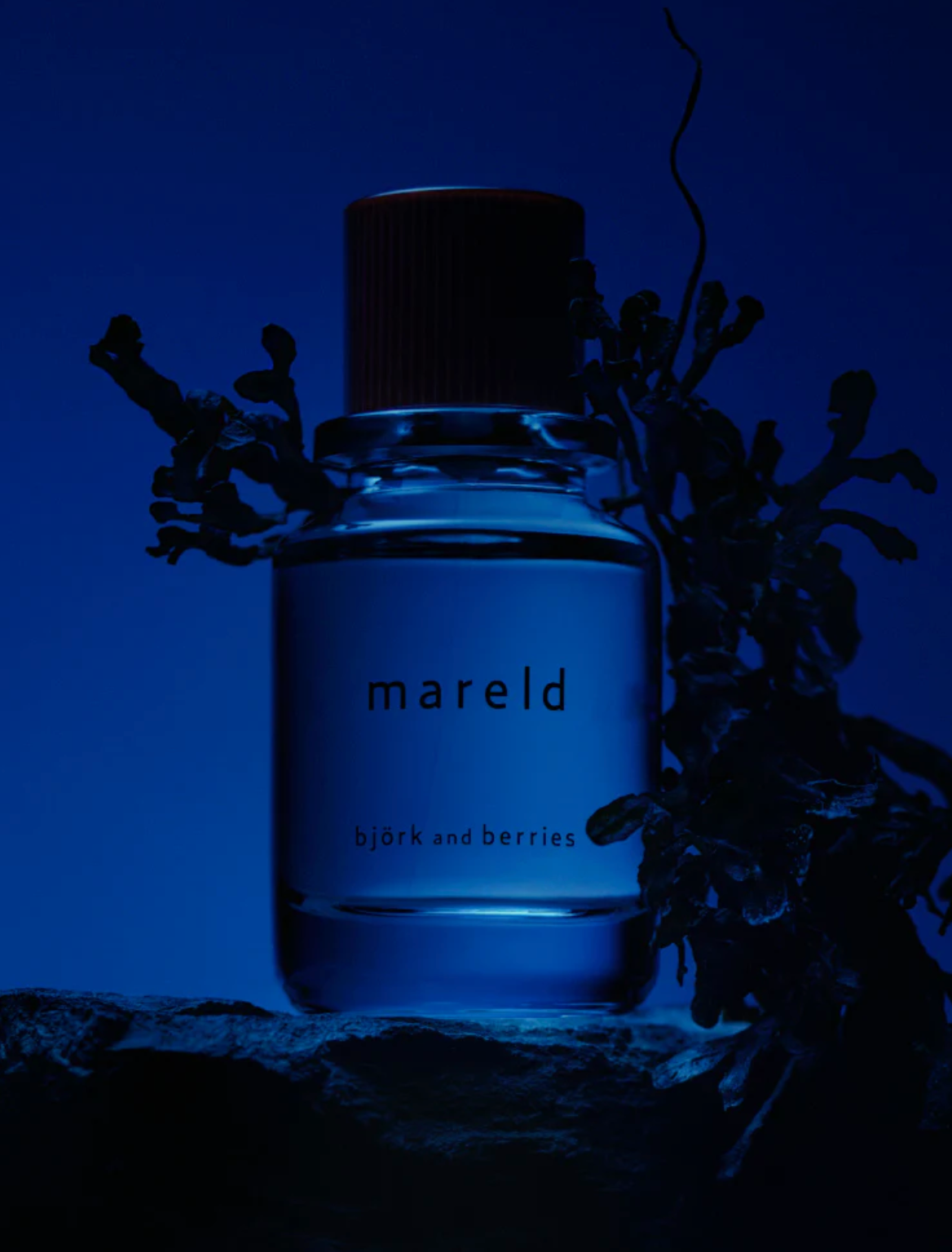 Mareld
