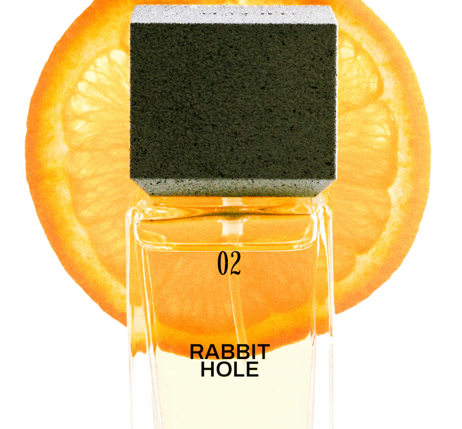 Rabbit Hole