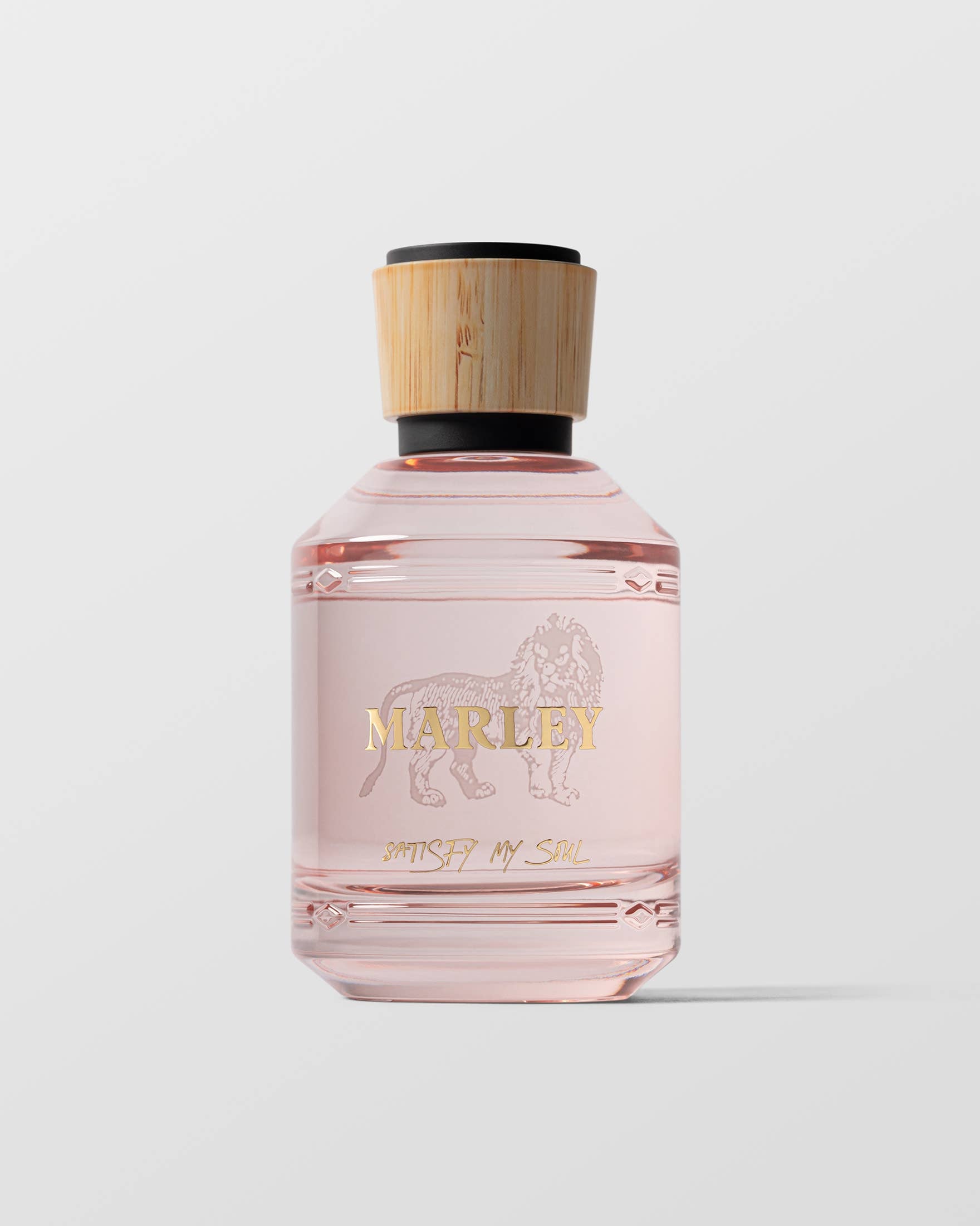 Marley: Satisfy My Soul