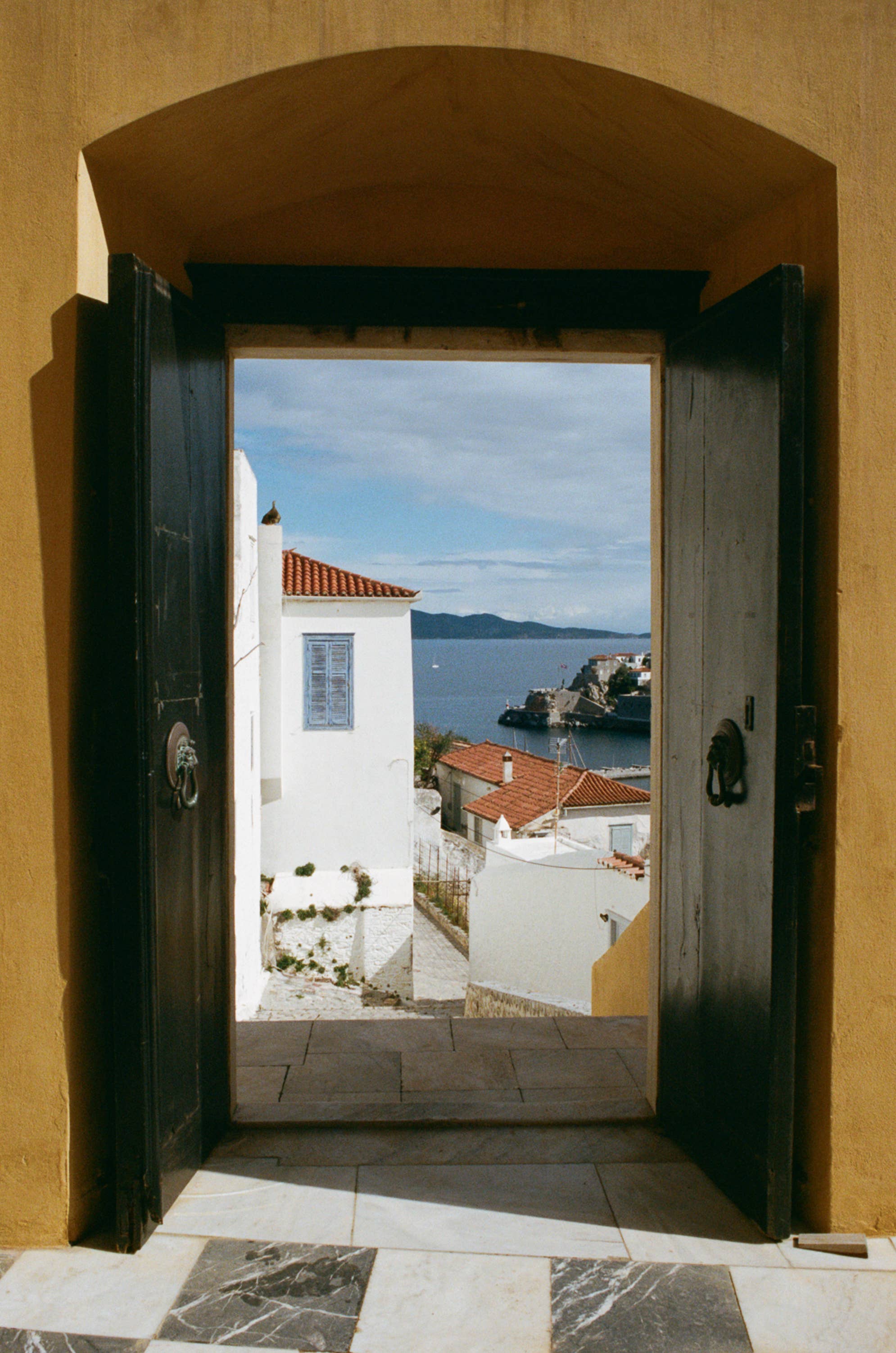 Hydra Figue (50ml) - A woody, aromatic fragrance