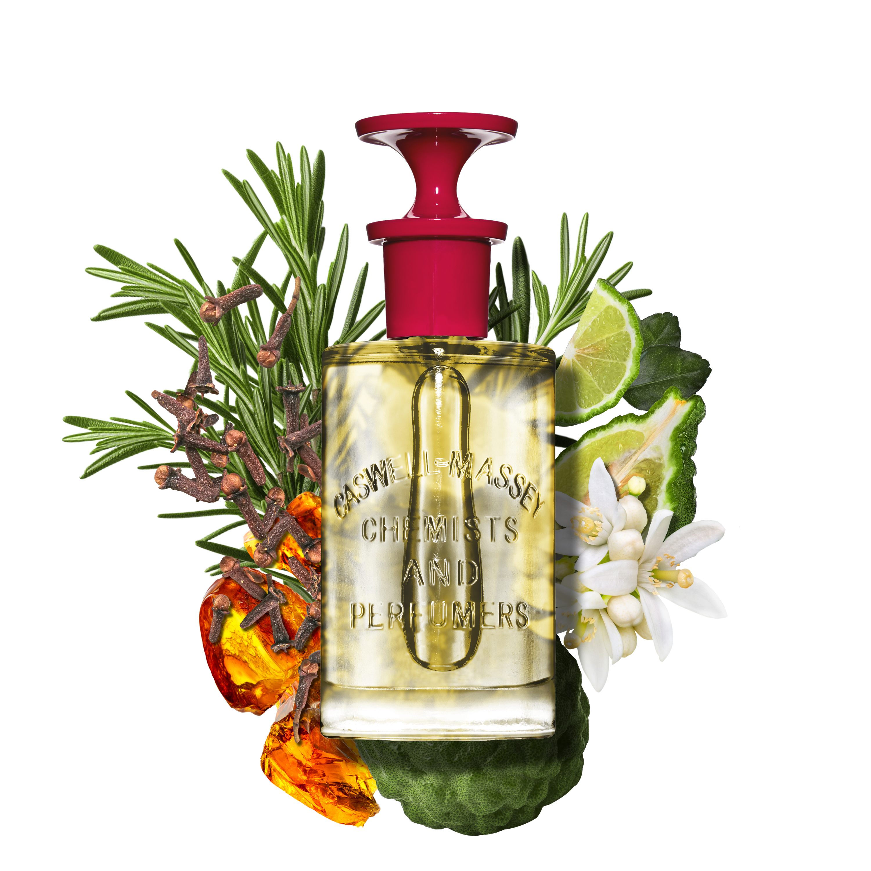 Number Six Eau de Parfum 100mL: 100 mL