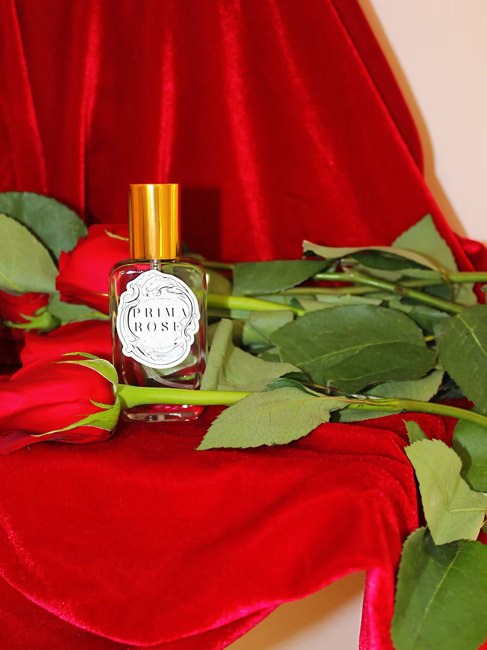 Prima Rose