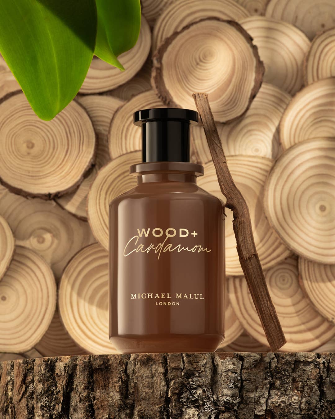 Wood + Cardamom