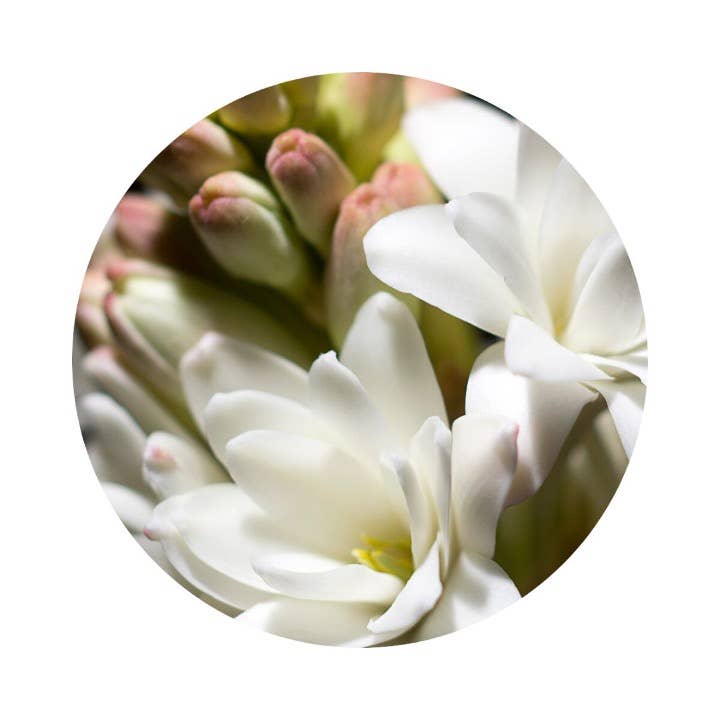 Musc & Jasmin (Floral & Musky) - Eau de Parfum - 30ml