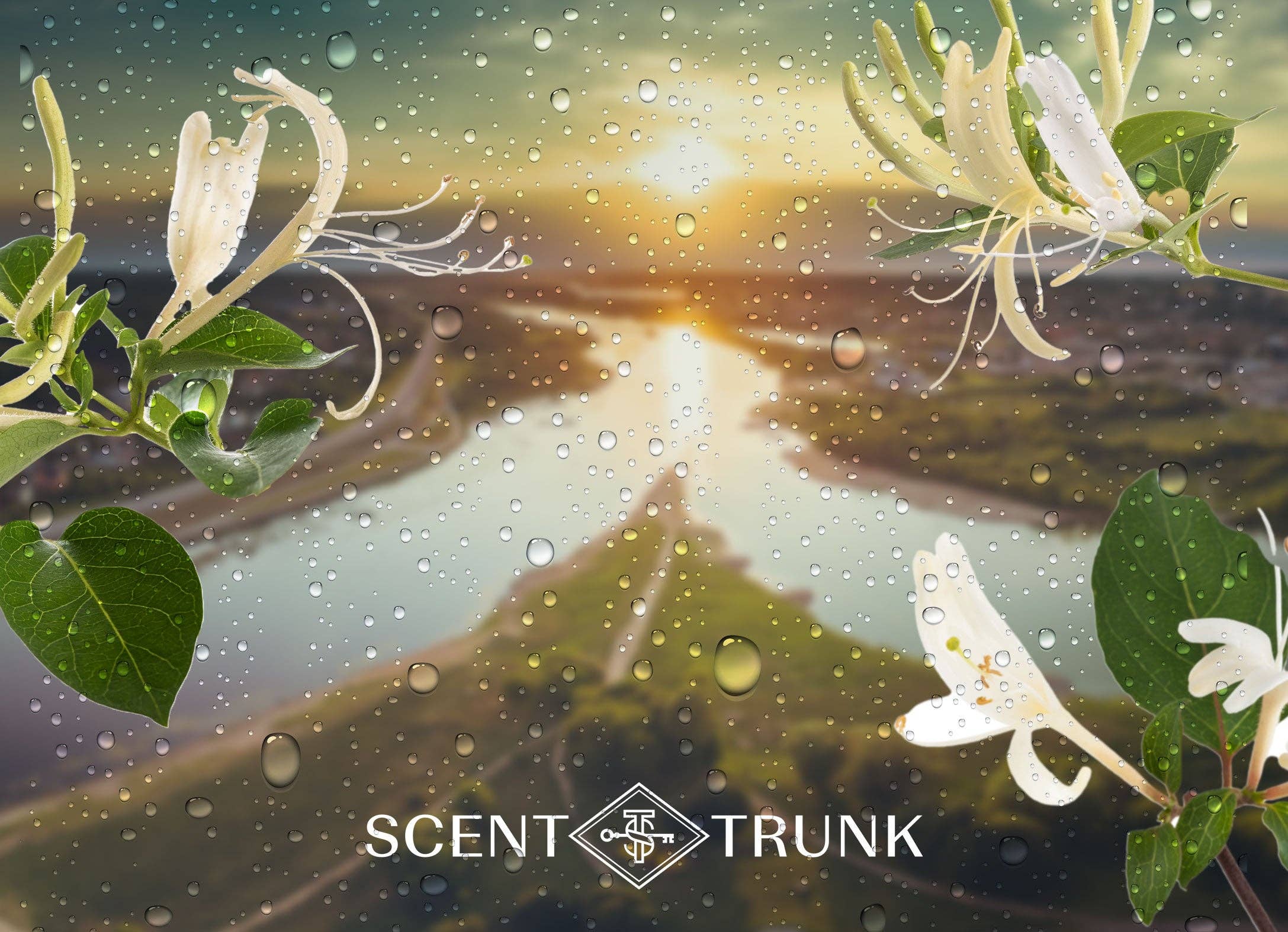 Honeysuckle Rain: 30 ml Bottle