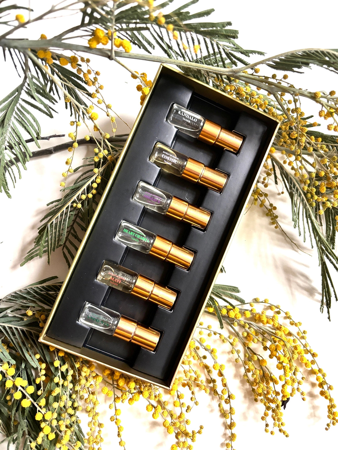 Tanais Discovery Set