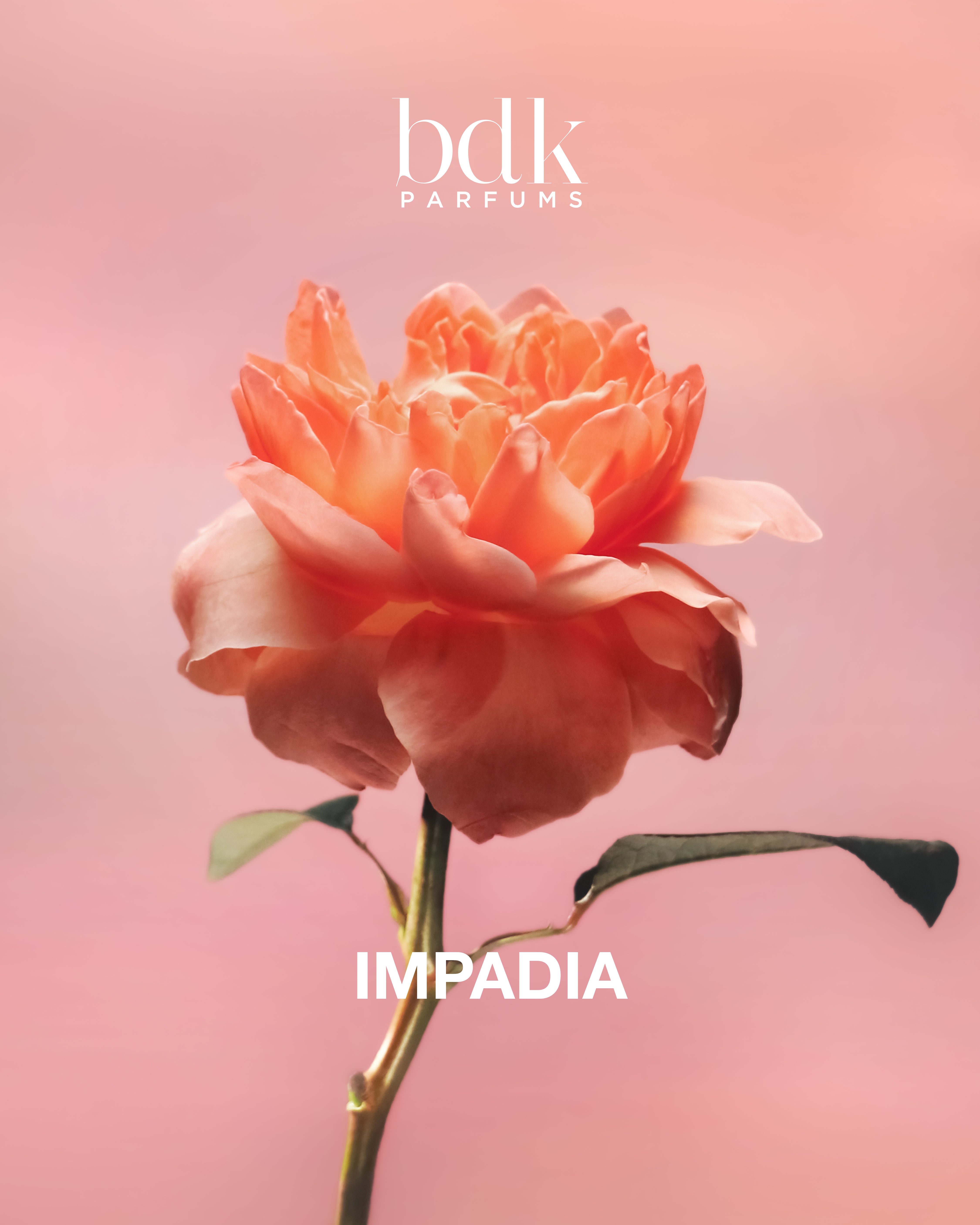 Impadia EDP