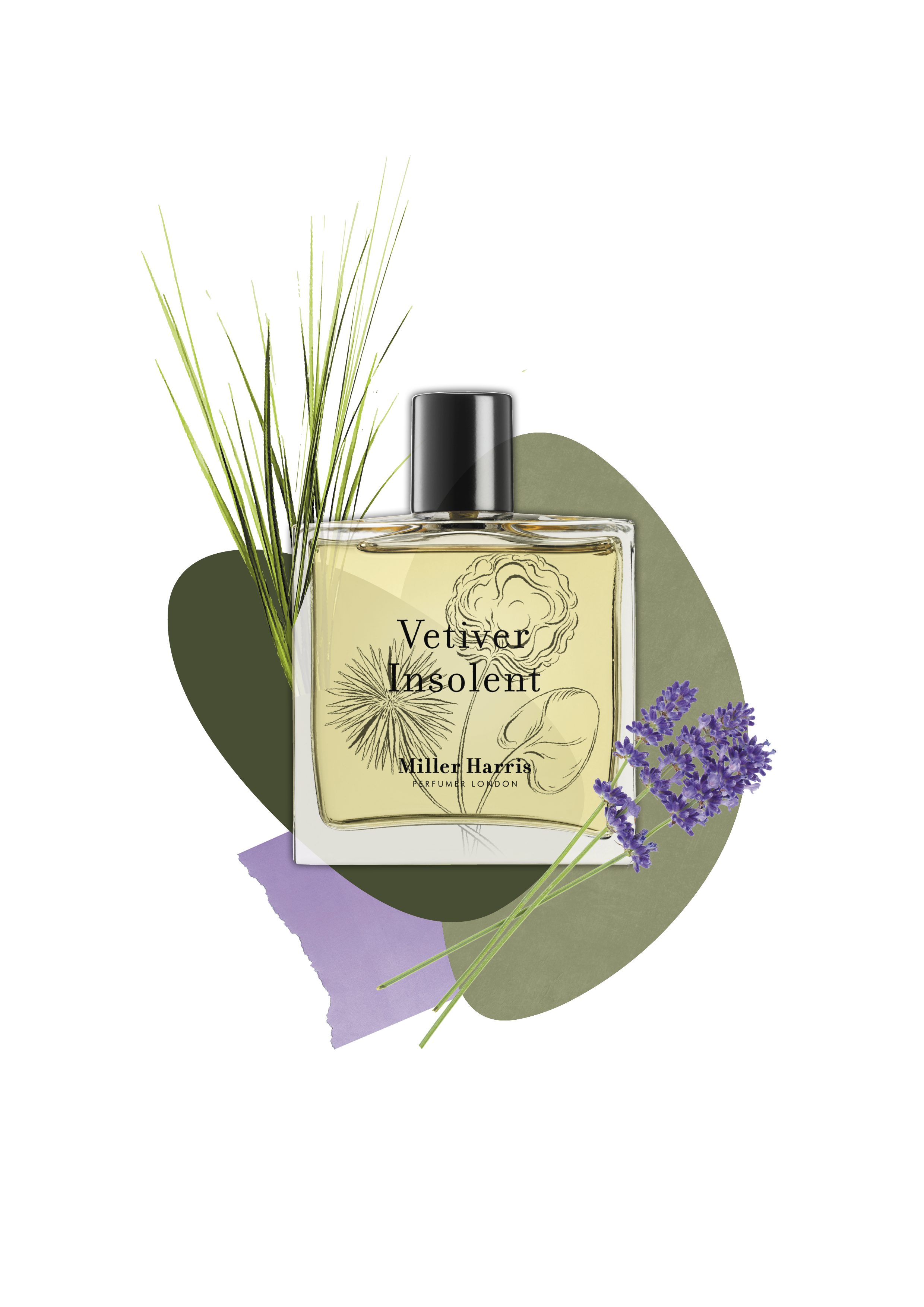 Vétiver Insolent (50ml) - A woody fragrance