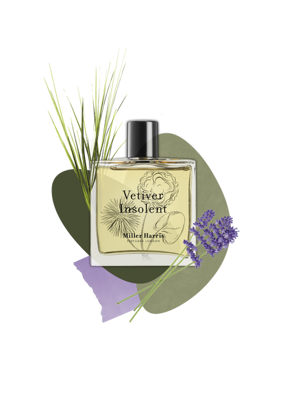 Vétiver Insolent (50ml) - A woody fragrance