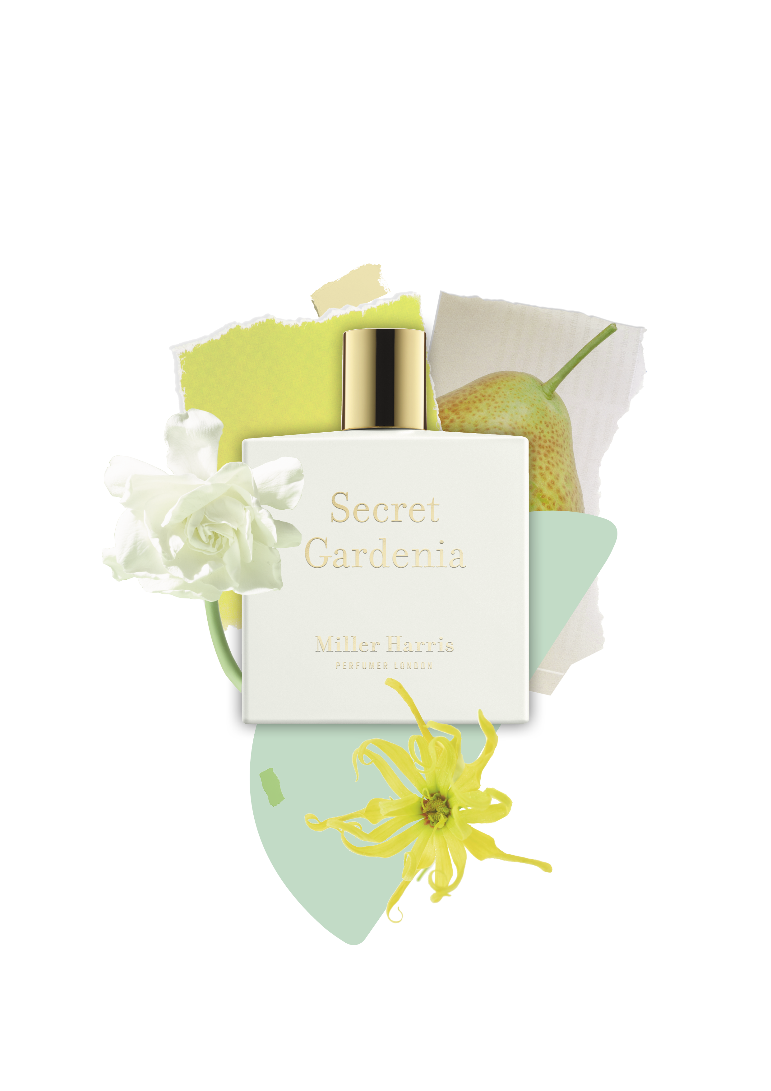 Secret Gardenia - A floral, aquatic fragrance: 50ml