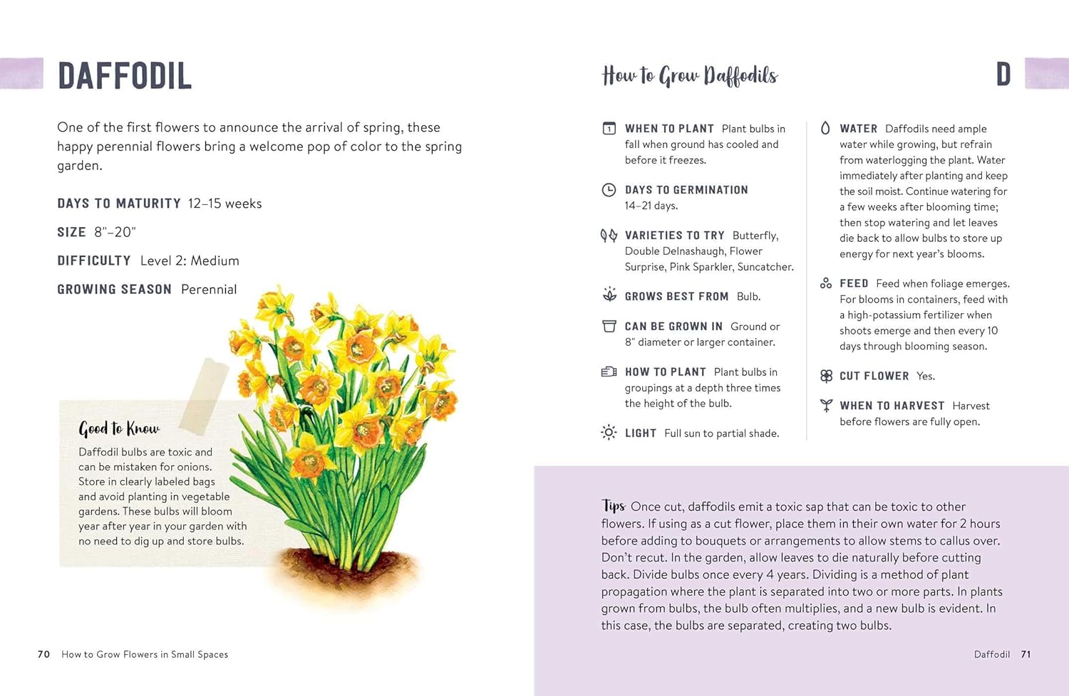 How to Grow Flowers in Small Spaces: An Illustrated Guide to Planning, Planting, and Caring for Your Small Space Flower Garden
