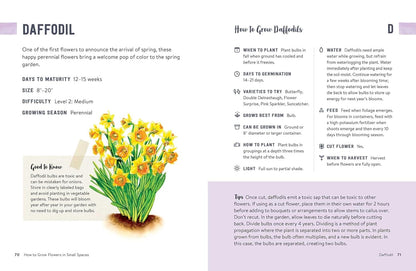 How to Grow Flowers in Small Spaces: An Illustrated Guide to Planning, Planting, and Caring for Your Small Space Flower Garden