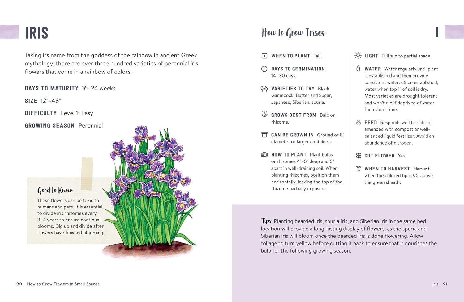 How to Grow Flowers in Small Spaces: An Illustrated Guide to Planning, Planting, and Caring for Your Small Space Flower Garden