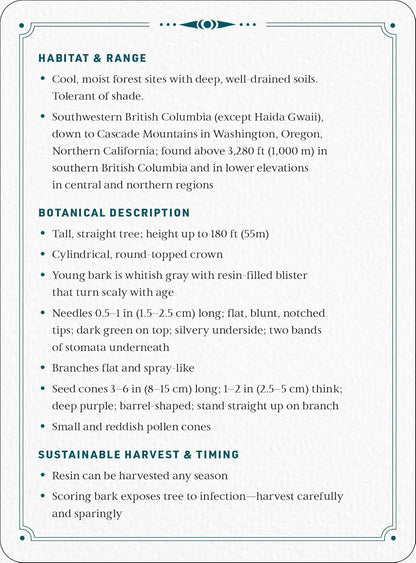 Held by the Land Deck: 45 Ways to Use Indigenous Plants for Healing & Nourishment Cards