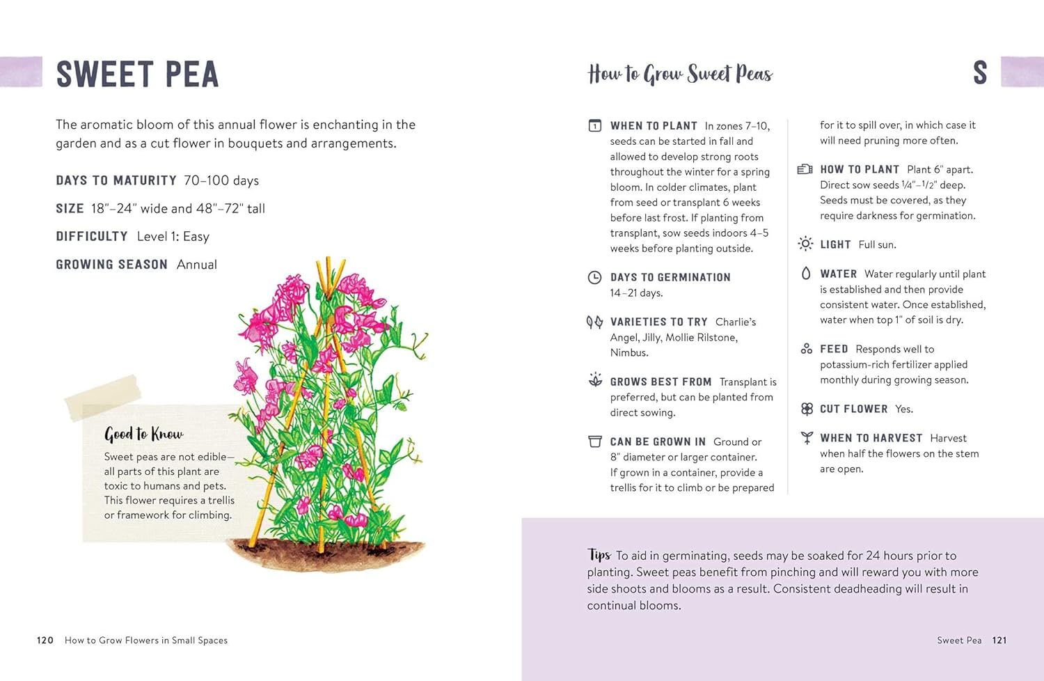 How to Grow Flowers in Small Spaces: An Illustrated Guide to Planning, Planting, and Caring for Your Small Space Flower Garden
