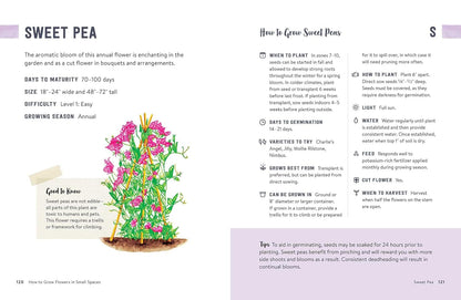 How to Grow Flowers in Small Spaces: An Illustrated Guide to Planning, Planting, and Caring for Your Small Space Flower Garden