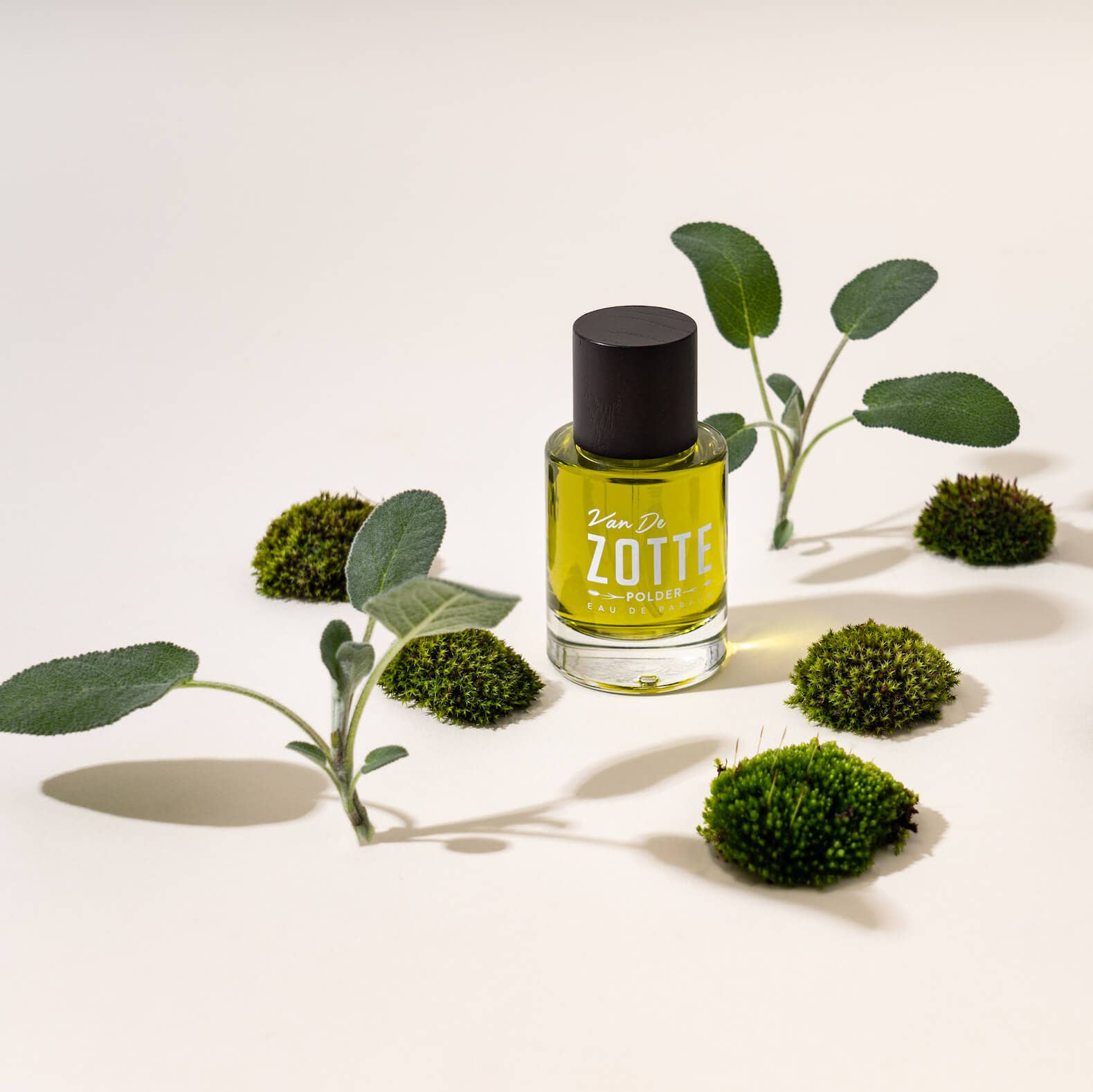 POLDER - Eau de Parfum