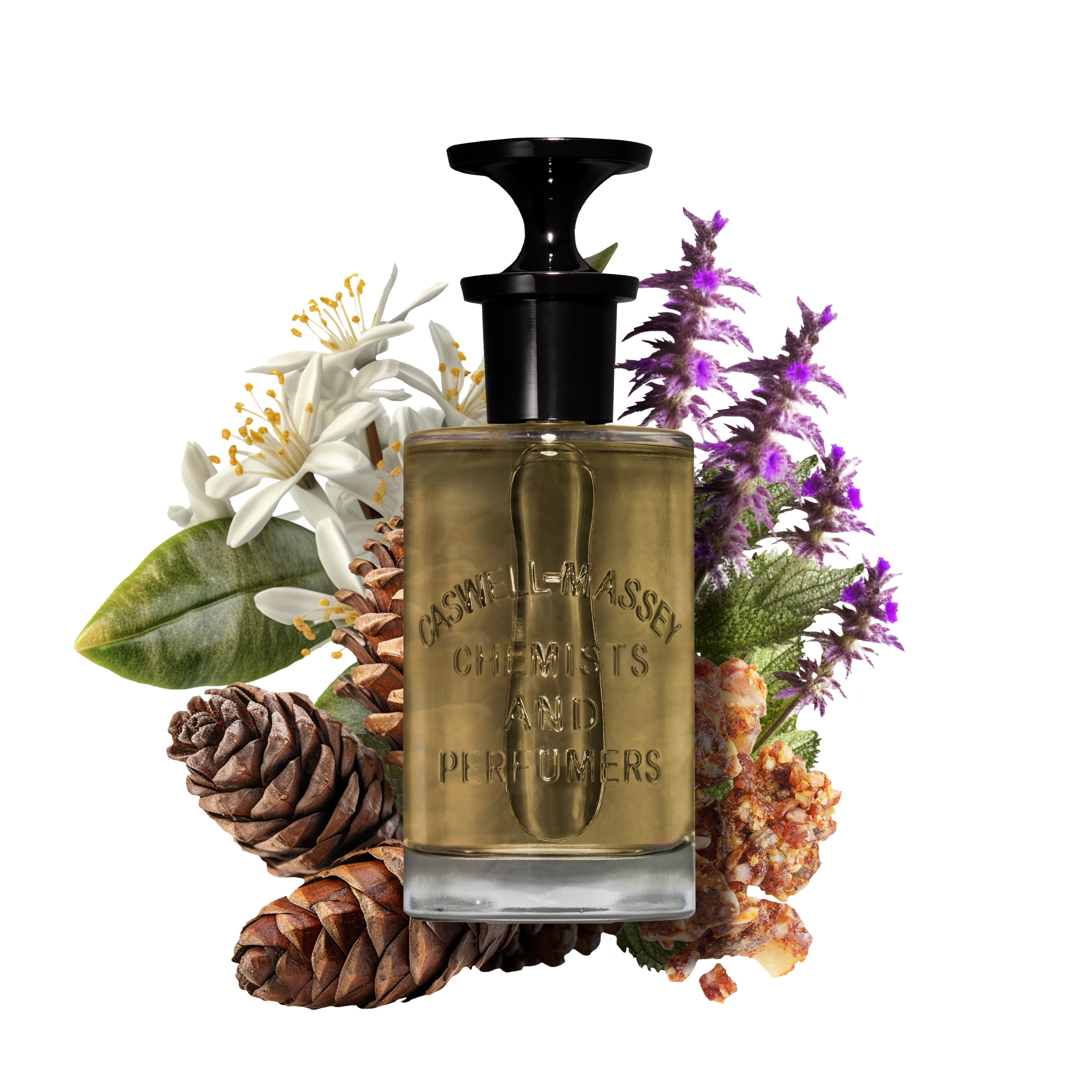 OAIRE Eau de Parfum 100mL: 100 mL