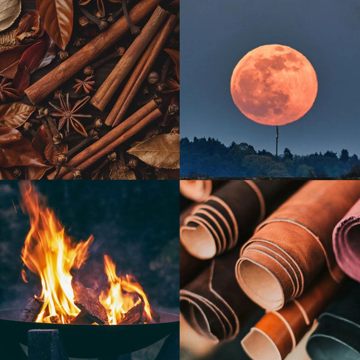 Harvest Moon