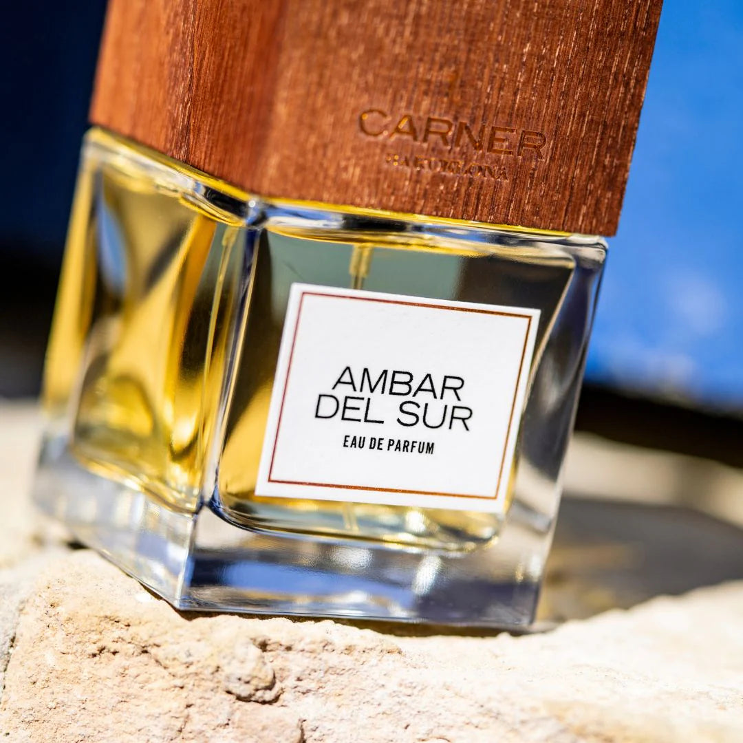 Ambar del Sur