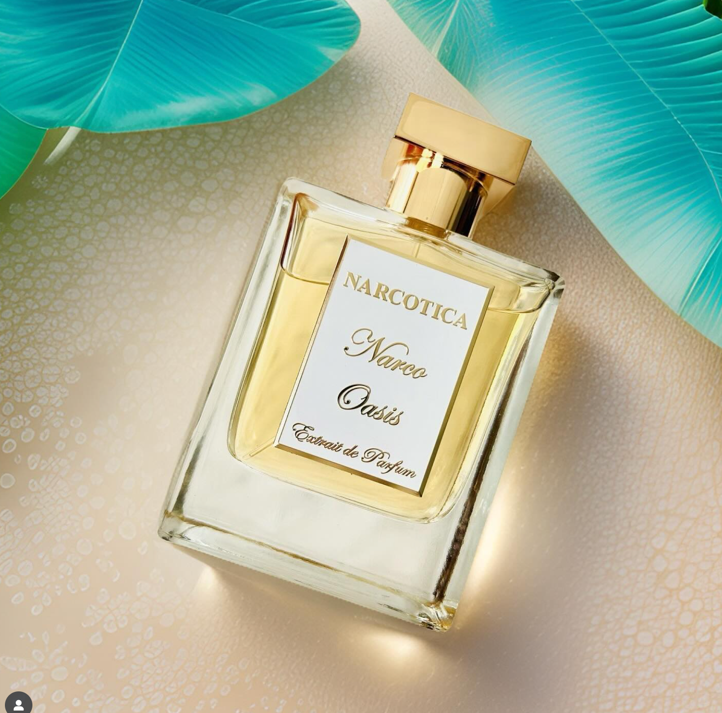 Narco Oasis