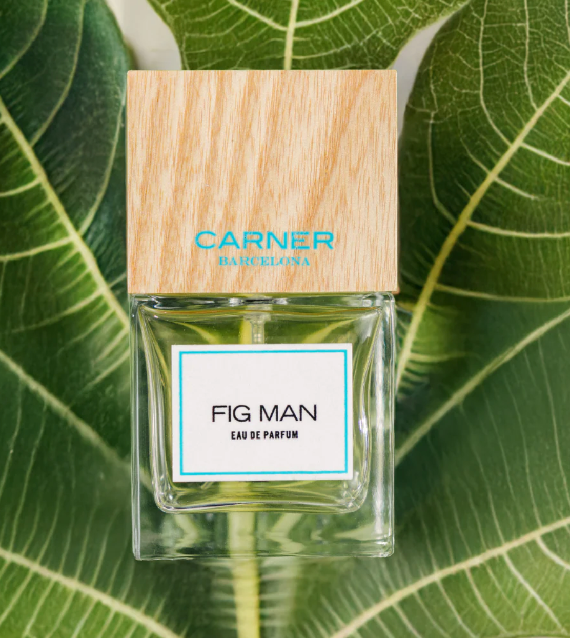 Fig Man