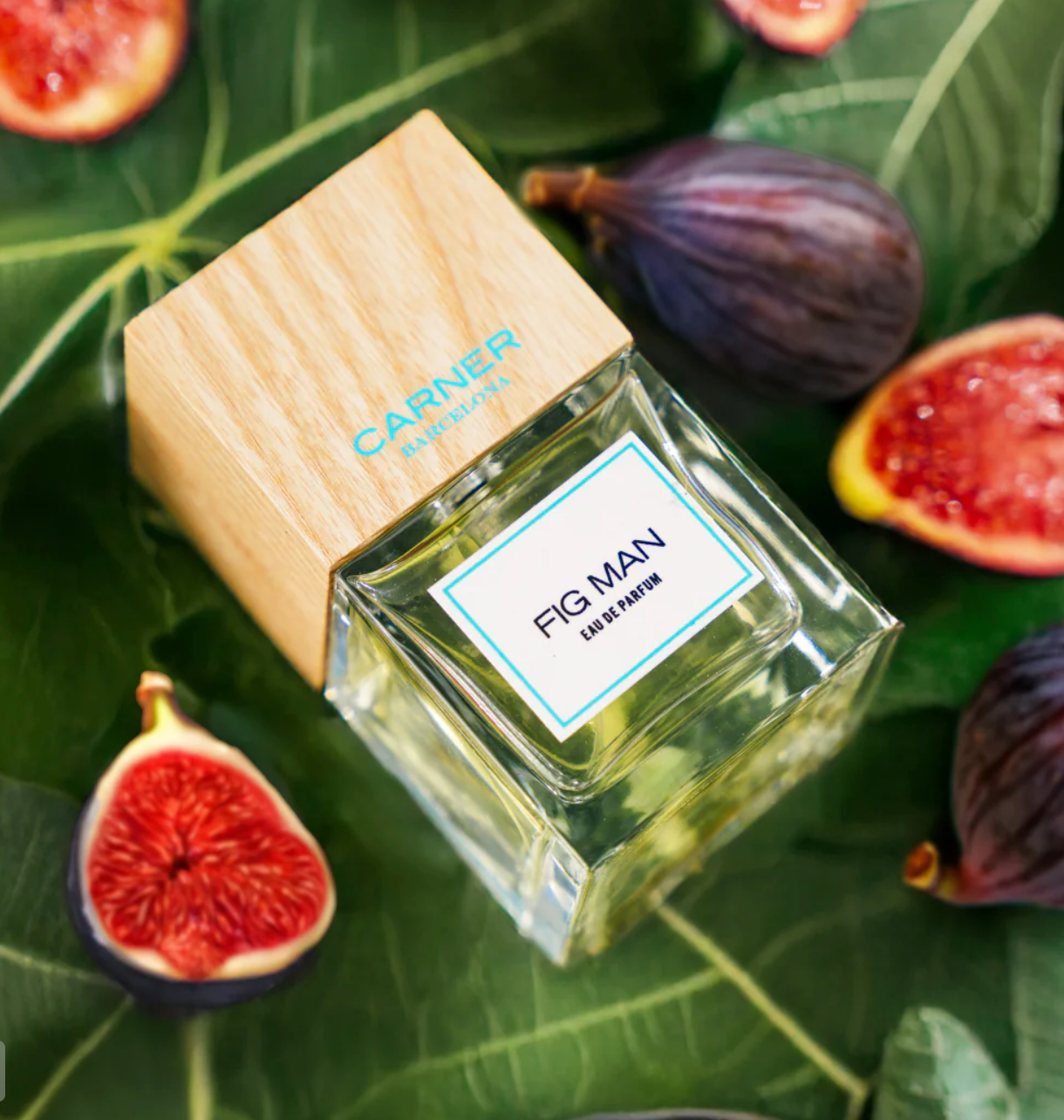 Fig Man