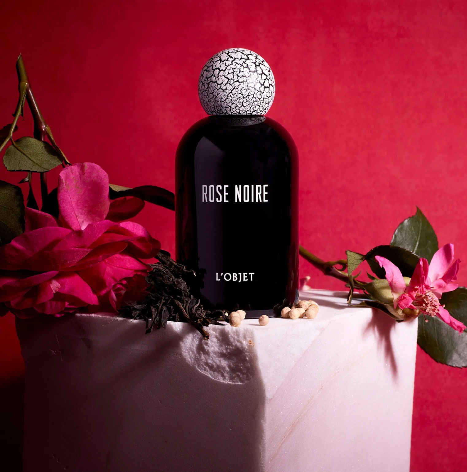 Rose Noire