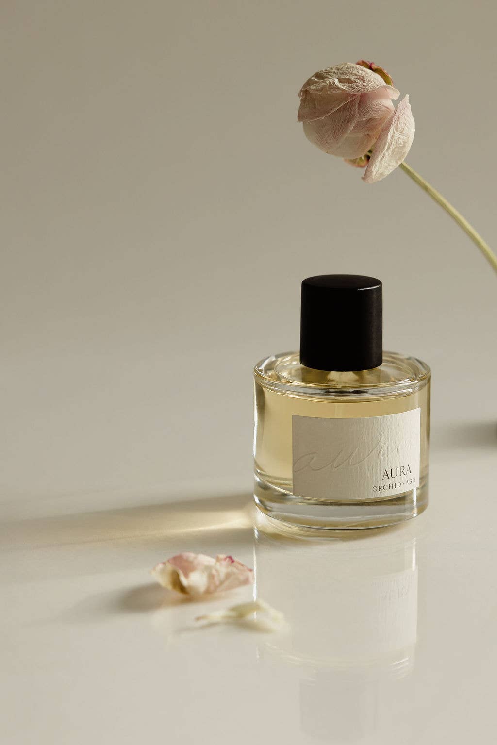 Grapefruit + Tonka Bean | AURA Clean Perfume