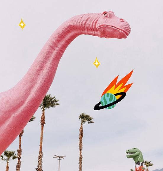 Lost in Translation - EDP 50ml - a woody spicy aquatic scent