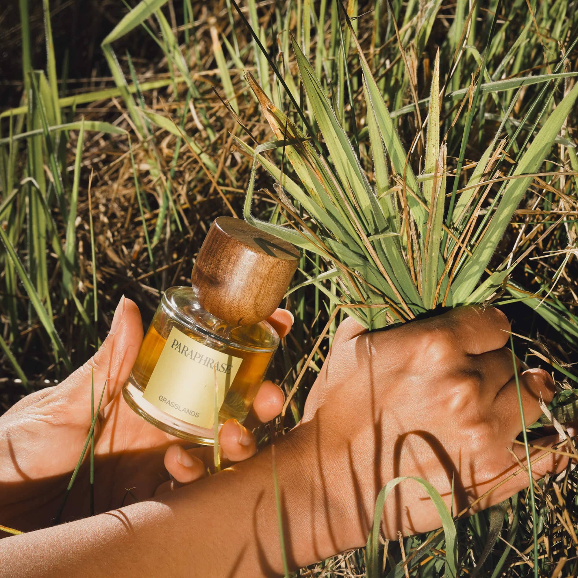 GRASSLANDS | GOLDEN GRASSY HERBS: 50 ml