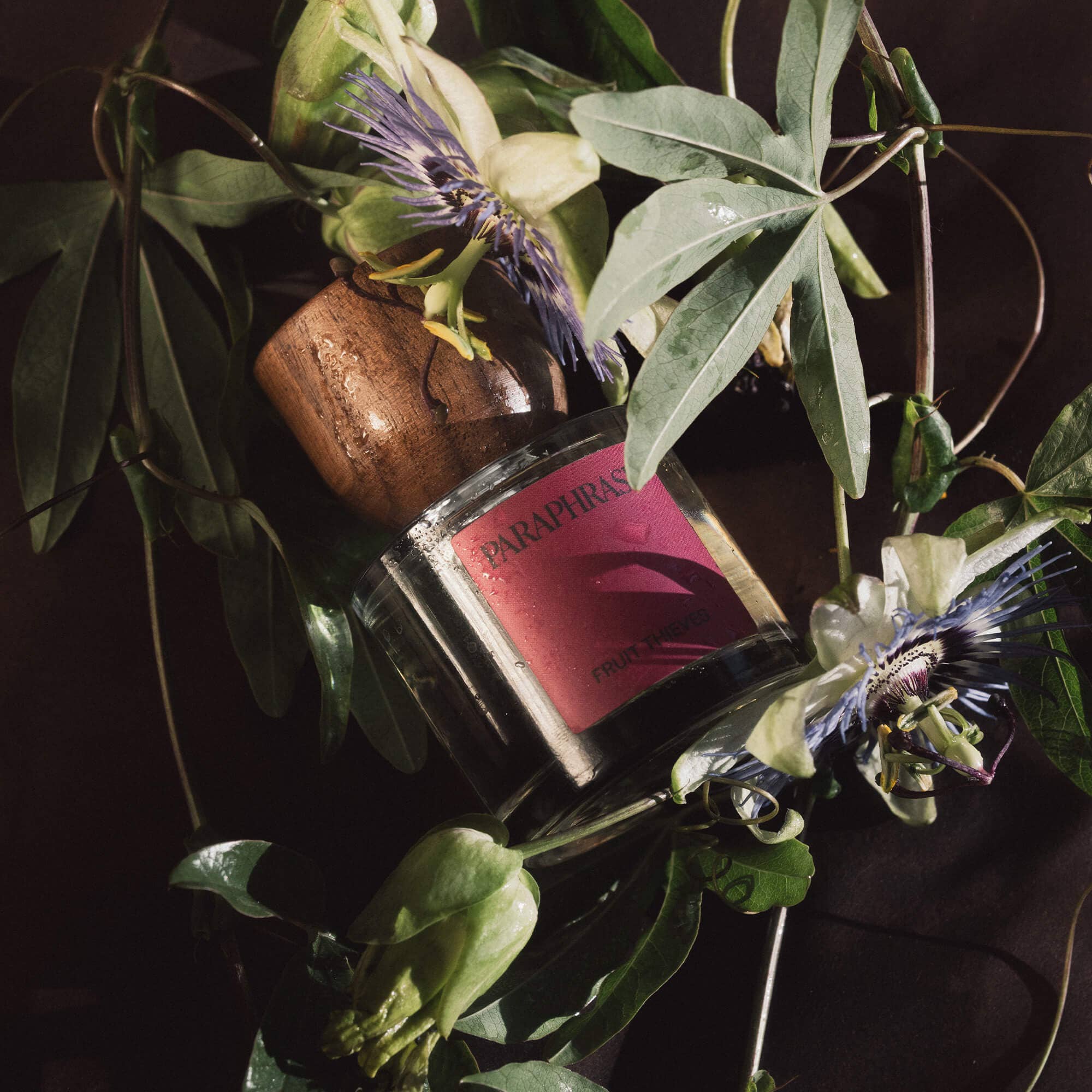 FRUIT THIEVES | TART, JUICY PASSIONFRUIT: 50ml