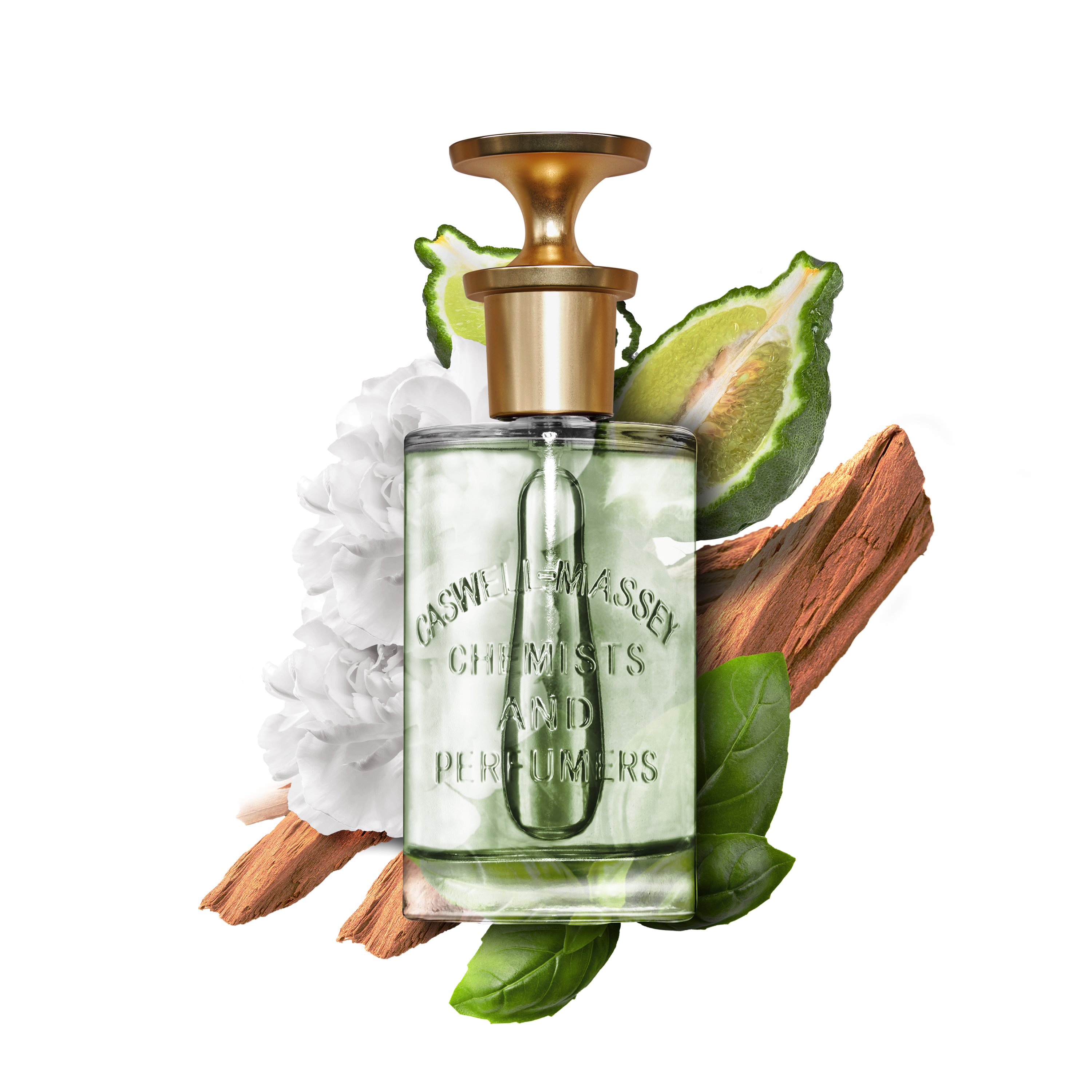Jockey Club Eau de Parfum 100mL: 100 mL