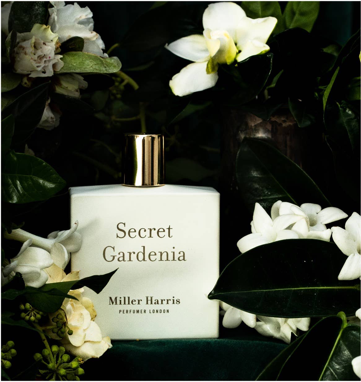 Secret Gardenia - A floral, aquatic fragrance: 50ml